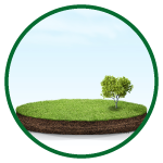 Jade Jubilance DTCP Approved Plot for Sale in Thiruvallur | Avadi, Chennai